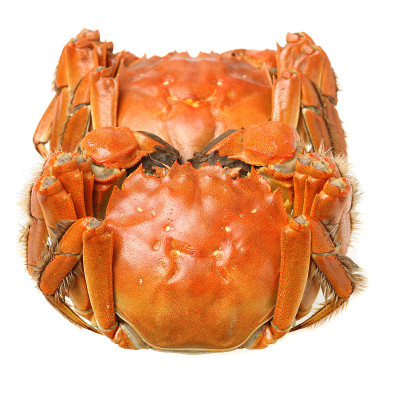 煮河蟹