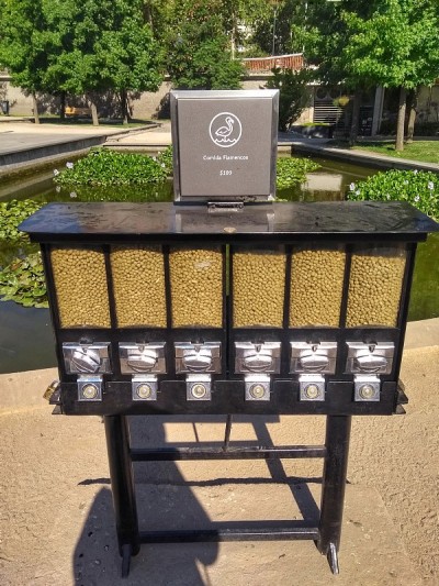 智利火烈鸟食物 - Parque Bicentenario，圣地亚哥，智利