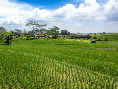 巴厘岛