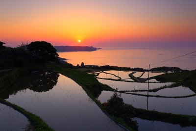 梯田的黄昏