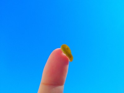 蓝天上的毛毛虫