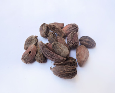 黑色小豆蔻