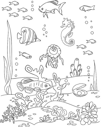 海底草图。