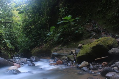 长时间曝光的热带溪流显示绿色植物和岩石在亚马逊雨林