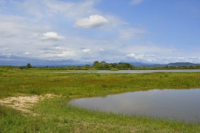 意大利湿地