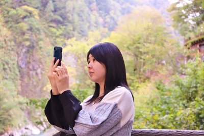 秋叶旅行