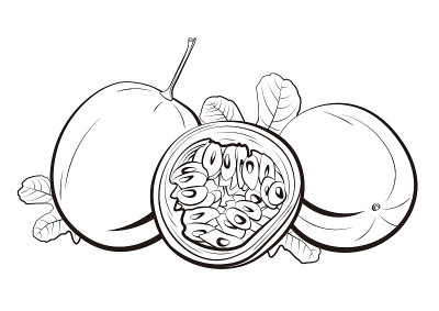 三百香果黑色简单线条插图