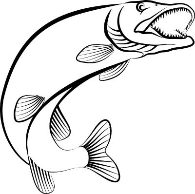 pike