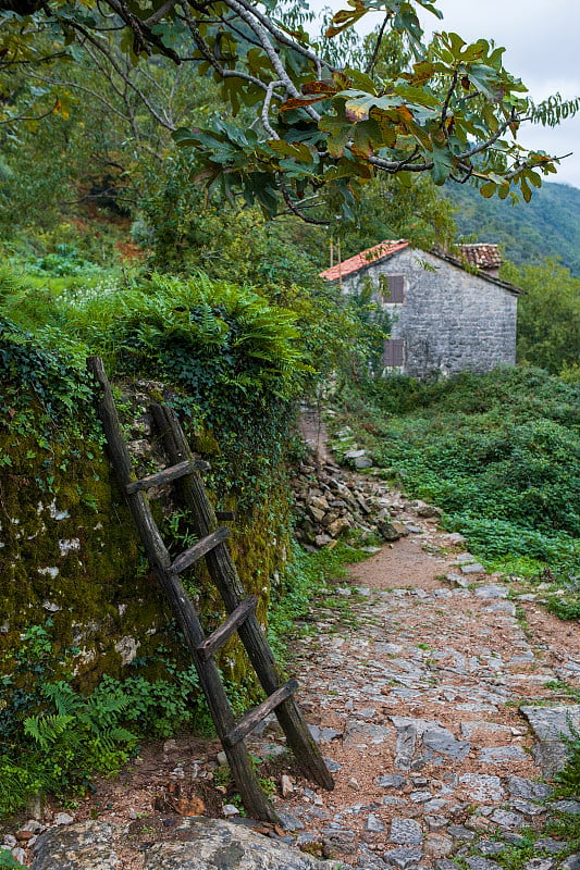 Gornji Stoliv是黑山科托尔湾(Bay of Kotor)上一个很大程度上被遗弃的山村