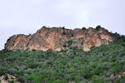 山