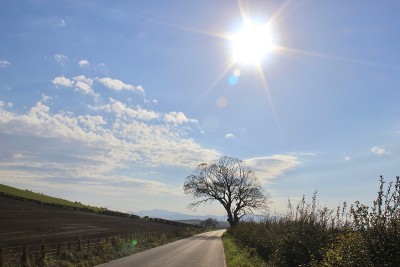 乡间小路