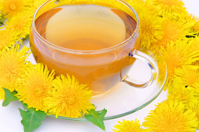 茶蒲公英