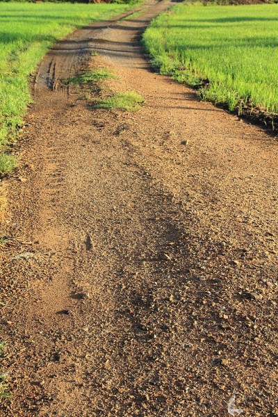 田野里的土路