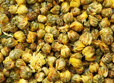 干菊花茶