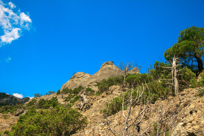 美丽的夏日海景在克里米亚的度假山上