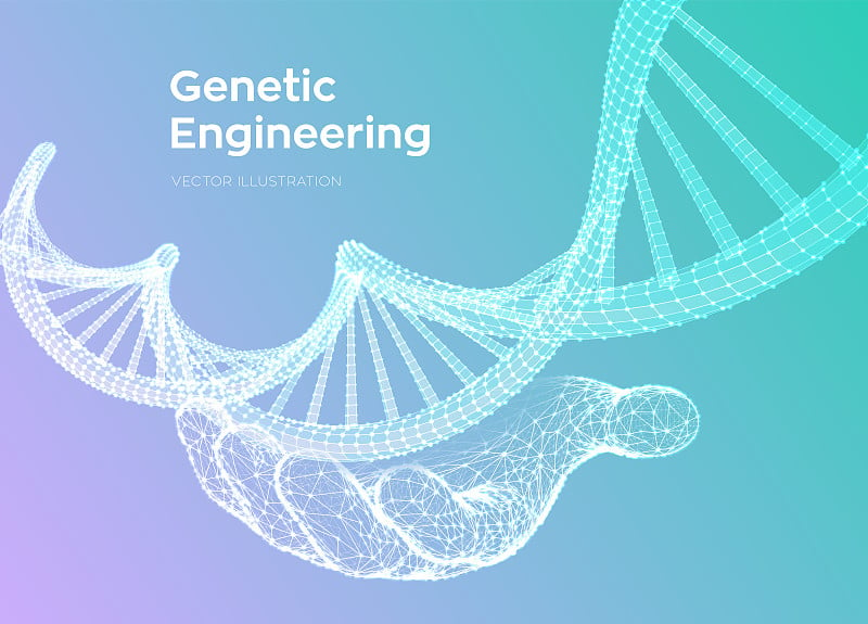 DNA序列在手。线框DNA分子结构网。DNA代码可编辑模板。科学技术概念。矢量插图。