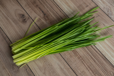 小麦草