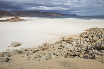 位于智利北部的“阿祖卡Pan de Azucar”国家公园里的“Playa Blanca”，阿塔卡马