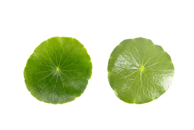 我的天啊