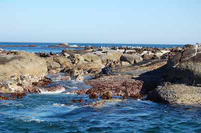 海豹岛