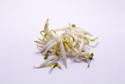 绿豆芽是亚洲菜的重要组成部分。