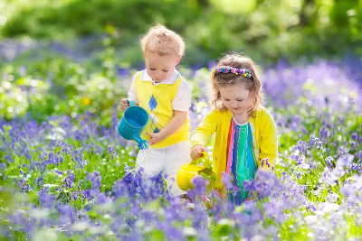 孩子们在一个有风信子花的花园里