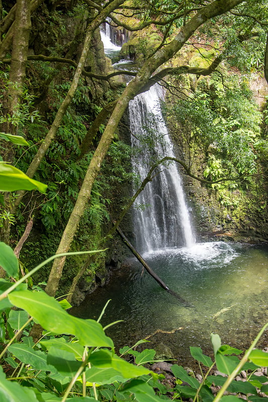 在亚速尔群岛的SAO miguel岛，漫步并发现怀孕的萨尔托瀑布