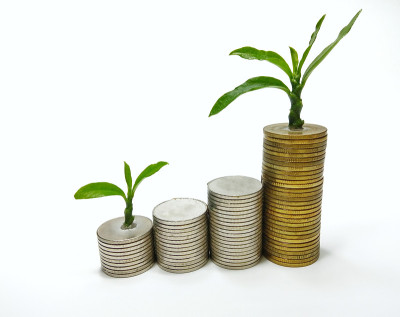 26、金银钱币叠，绿树成荫苗蓬勃。白色背景