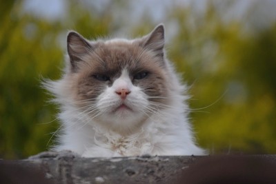 从远处看过去