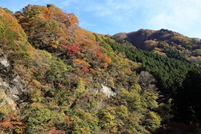 日本秩父风景