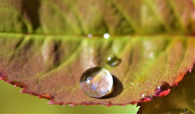 水滴。