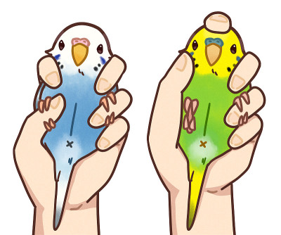 布杰里加行动