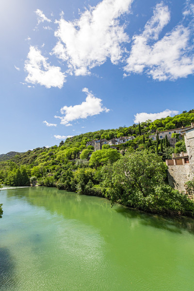 古老的房屋和中世纪村庄Sauve (Occitanie，法国)的森林