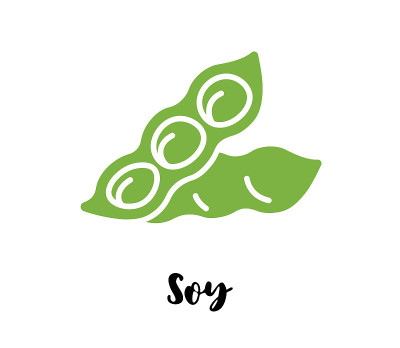 大豆平面图纸。大豆向量。大豆孤立的插图