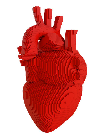3d打印心脏分离物
