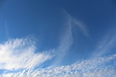 有风的风- 29棕榈- 112418 b