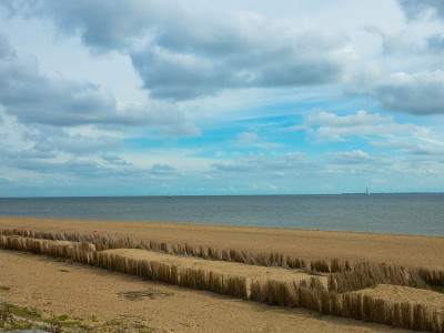 干海滩草在北海海滩附近的德库格特塞尔。国家公园Duinen van Texel, Texel岛，荷兰