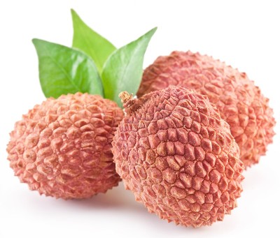 荔枝用树叶。