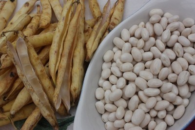 白豆去壳