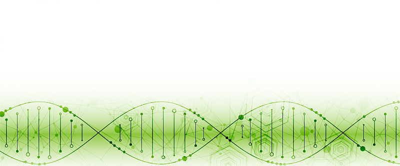 科学模板，抽象背景与DNA分子。矢量插图。