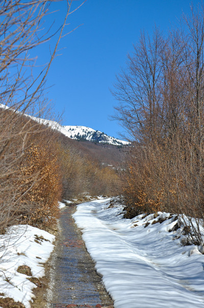 山景观