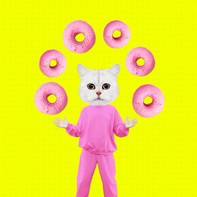 时尚的猫的性格。概念上的最小的拼贴画。甜甜圈的爱人情绪