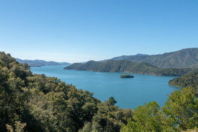 新西兰马尔伯勒之声美丽的本土风景