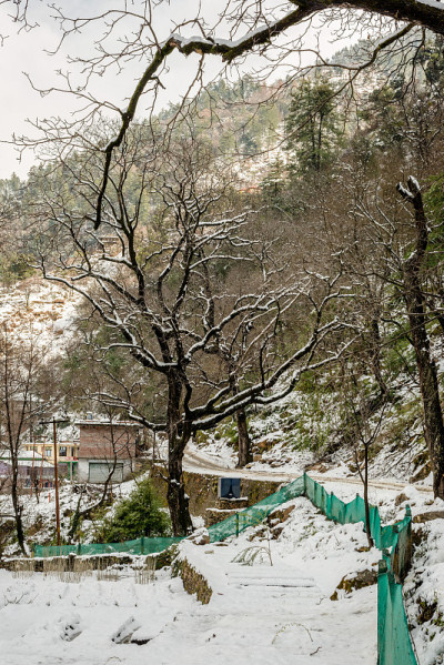 雪山覆盖的道路-雄伟的冬季景观在喜马拉雅山
