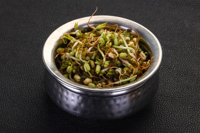 将豆芽