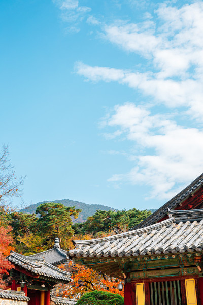 秋日庆州佛国寺