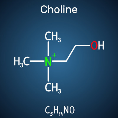 Choline vitamin-like essential nutrien molecule. I