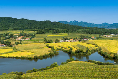 秋天的乡村和田野