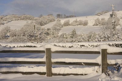 冬季雪景卡迪夫，南威尔士，英国
