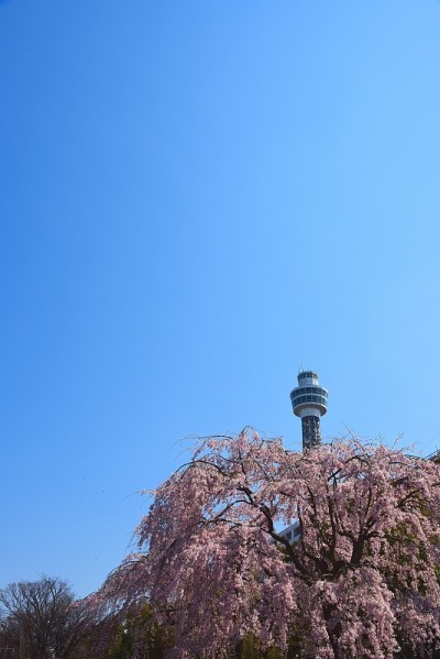 横滨